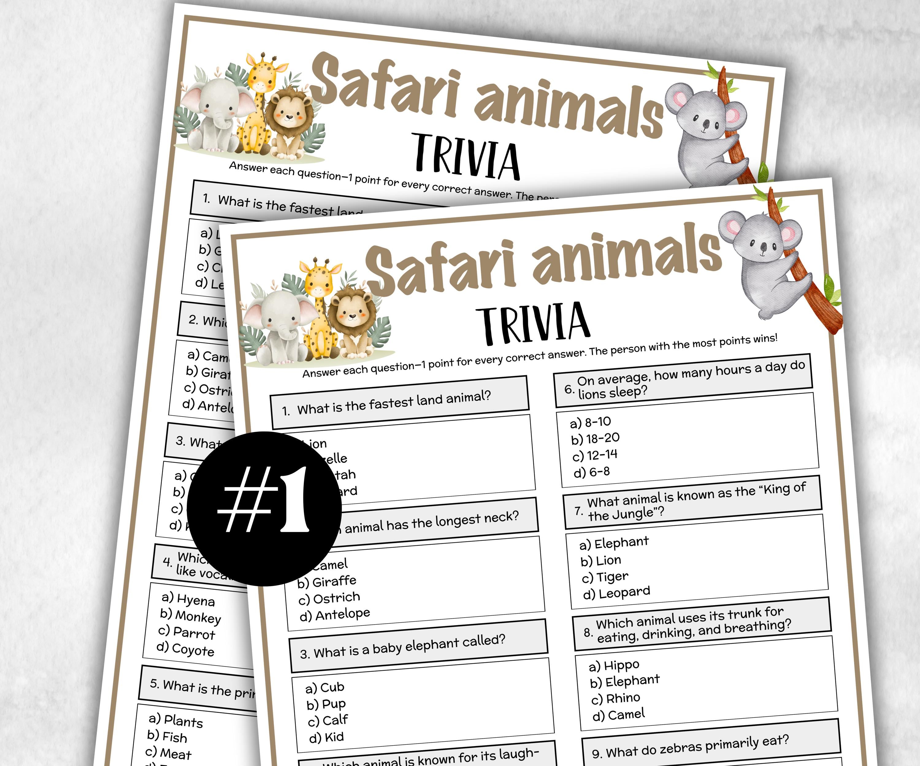 Safari Animals Trivia, Jungle Theme Birthday, Senior Trivia Night, Sunday School, Women Ministry, family reunion, first birthday, group game-Holidays -TheHustlingCatLady-Party Games
