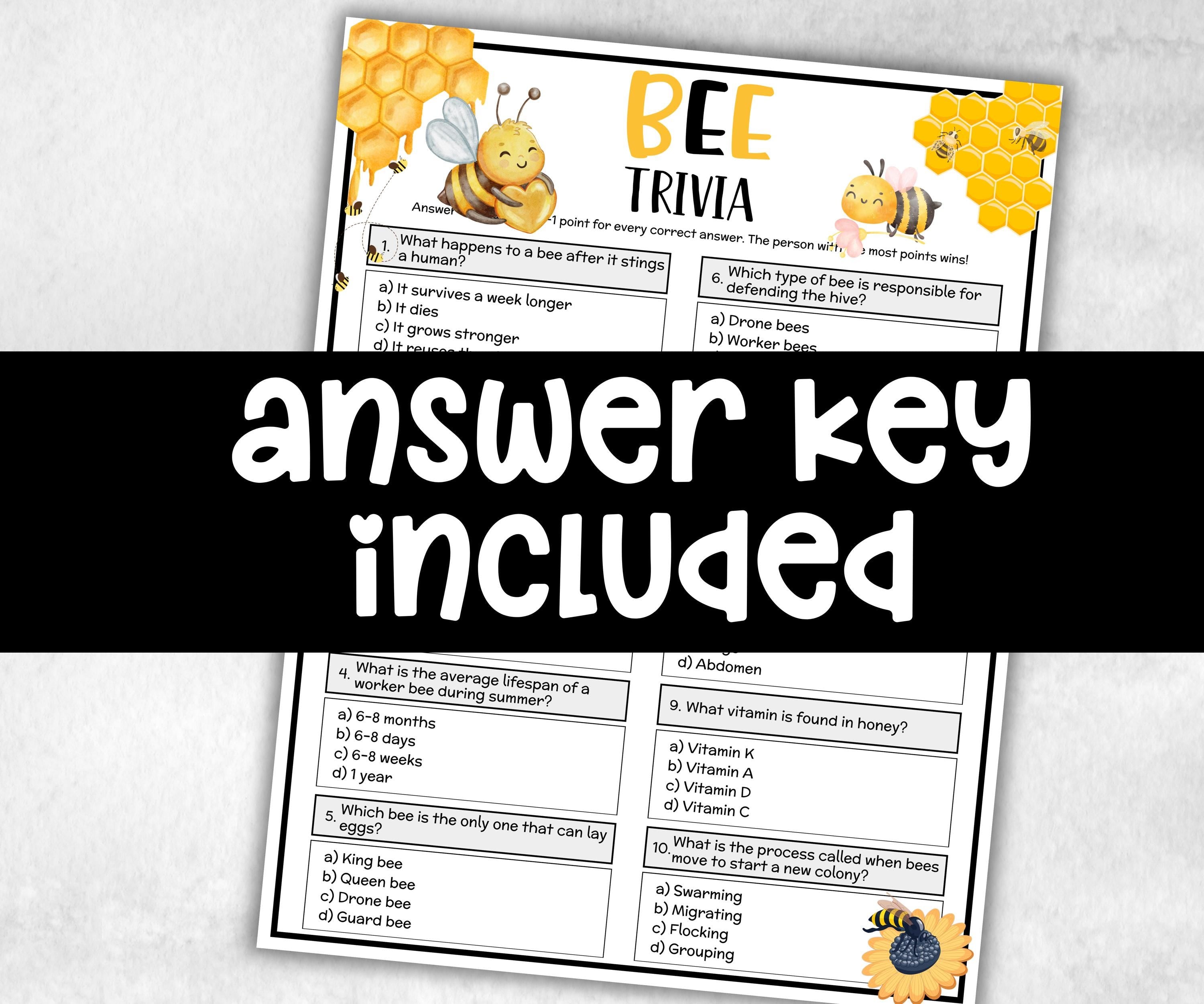 Bee Trivia, Bee Theme Birthday, Seniors Trivia Night, Sunday School, Women Ministry, family reunion game, first birthday, bridal shower game-Holidays -TheHustlingCatLady-Party Games