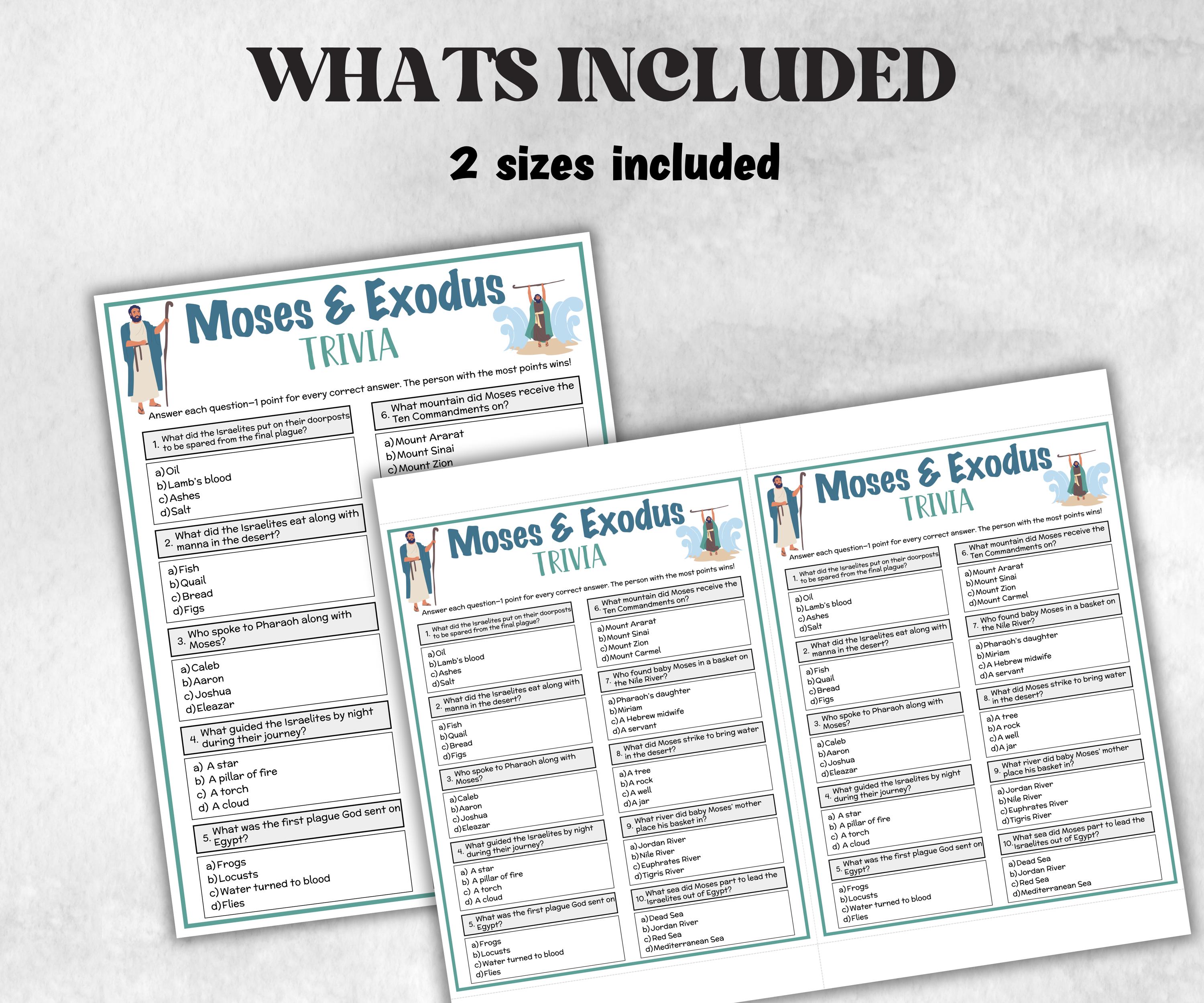 Moses and Exodus Printable Trivia for kid, Old Testament Activity, Classroom Christmas, Church Fundraiser game, Adult Teen church Icebreaker-Office Supplies -TheHustlingCatLady-Party Games