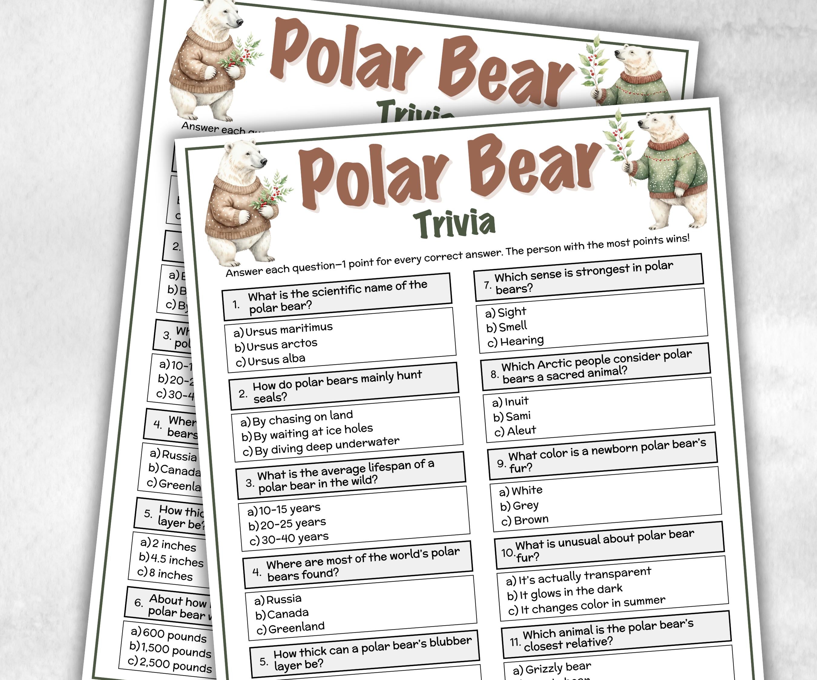 Printable Polar Bear Trivia, xmas party idea, celebration group game, home activity, seniors trivia, winter rainy snow day fundraiser game-Christmas -TheHustlingCatLady-Party Games