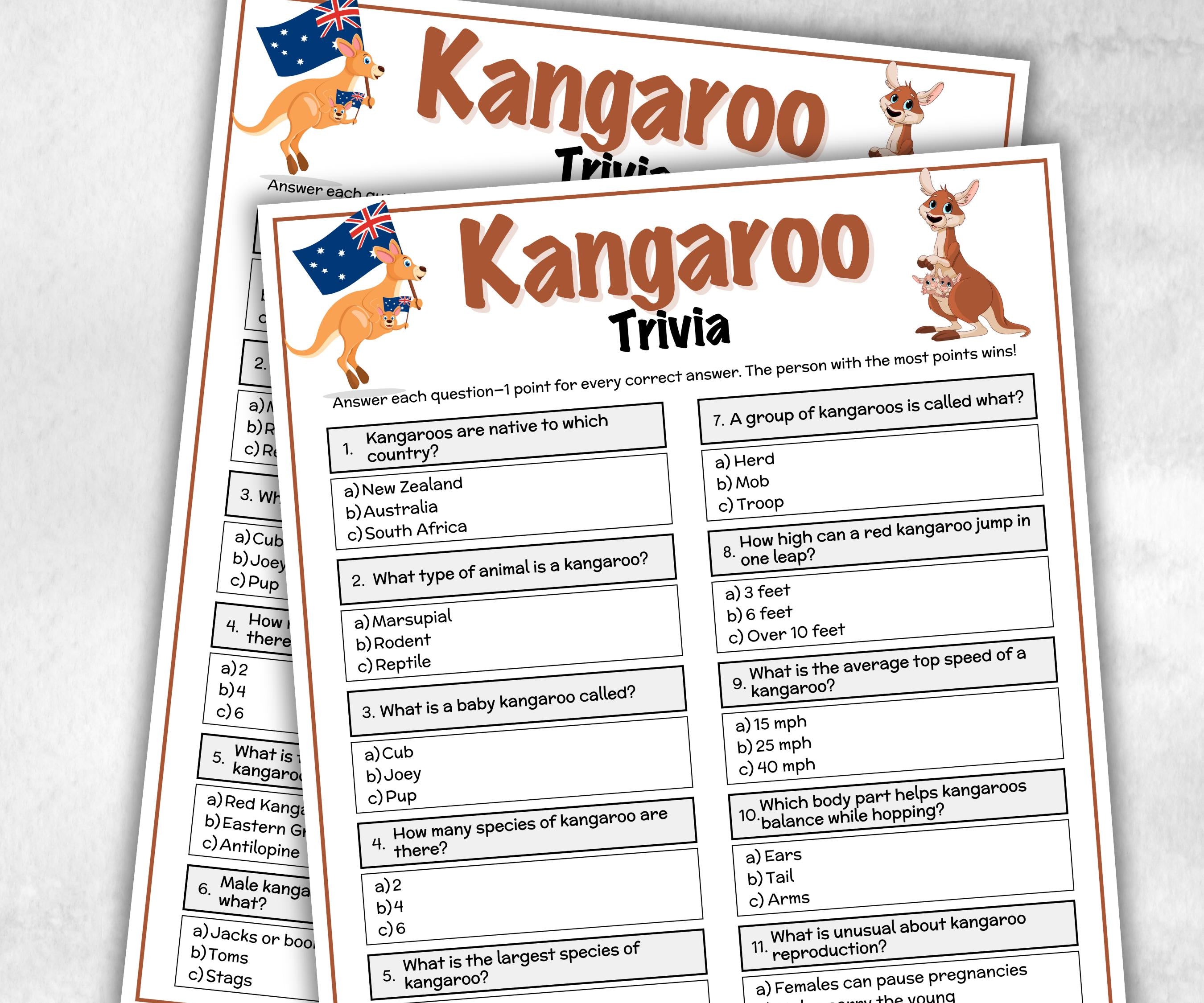Kangaroo Trivia, Road Trip, Big Things Australia, Australian BBQ, Aussie Party, Aussie Pub Trivia, Iconic Australian, animal Quiz-Holidays -TheHustlingCatLady-Party Games