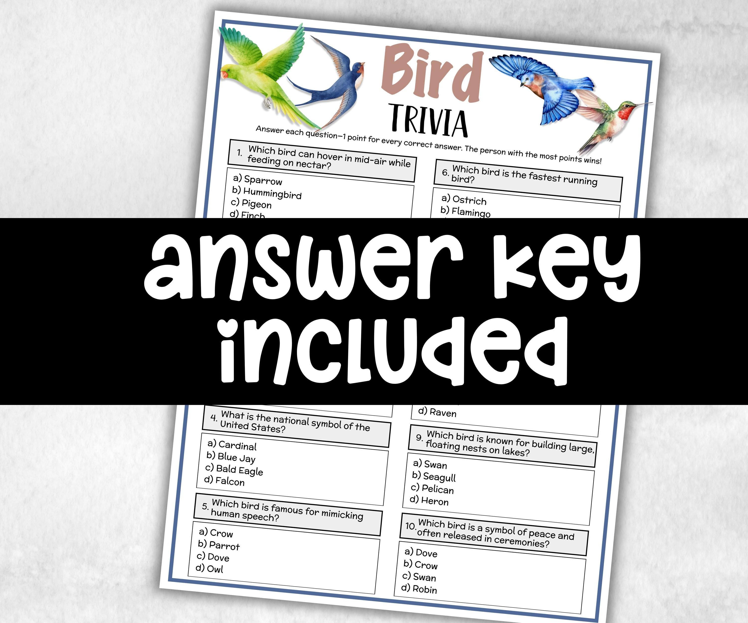 Printable Bird Trivia, Theme Birthday, Seniors Trivia Night, summer Spring, dill with it, Sunday School, Women Ministry, xmas family reunion-Holidays -TheHustlingCatLady-Party Games