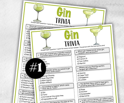Gin Trivia, alcohol Theme Birthday, Senior Trivia Night, summer Spring, Sunday School, Women Ministry, Sweets Baby Shower, Wedding spirits-Holidays -TheHustlingCatLady-Party Games