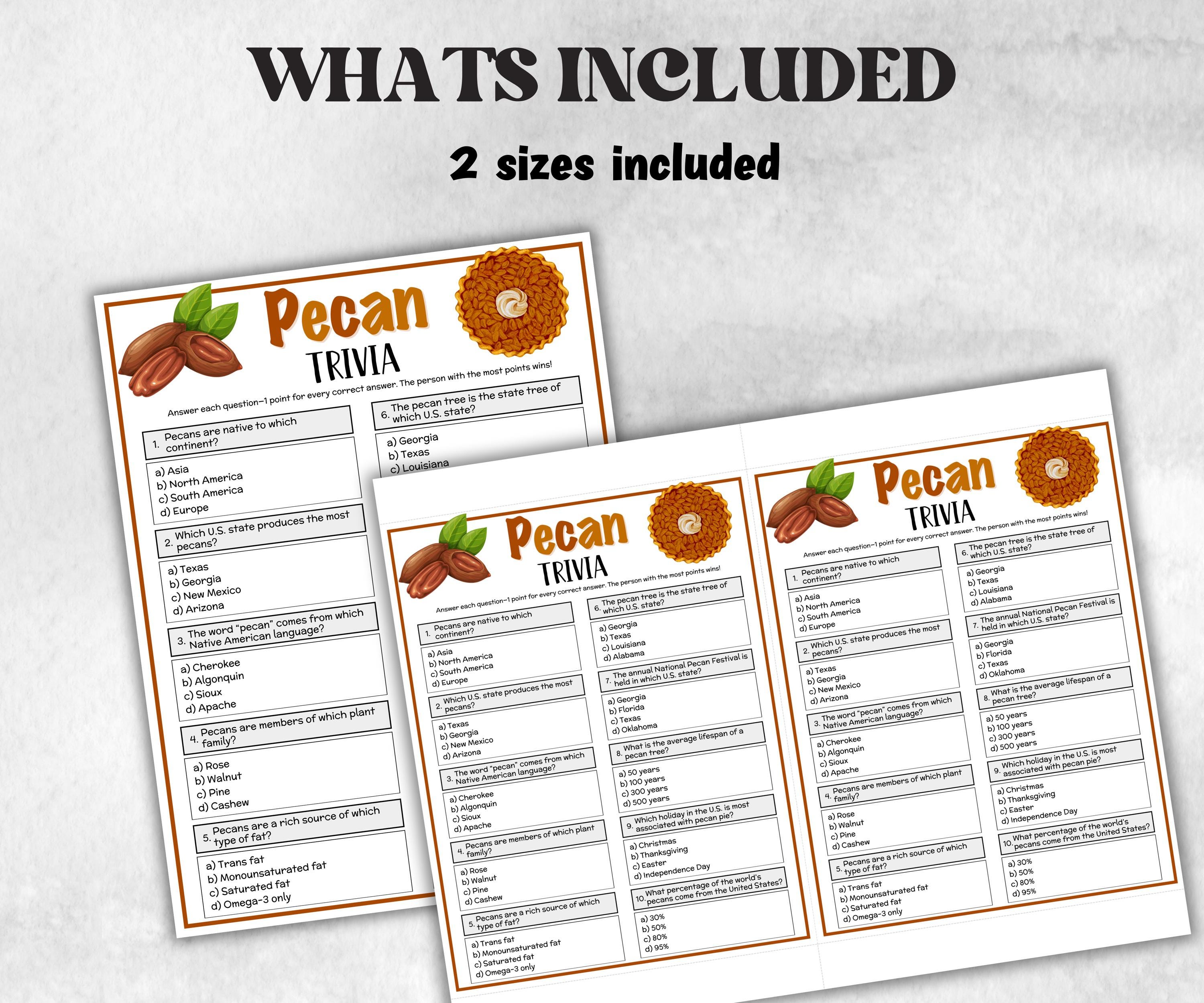 Pecan Trivia, Winter Theme Birthday, Seniors Trivia Night, Sunday School, Women Ministry, xmas family reunion, fall autumn game, Nut day-Holidays -TheHustlingCatLady-Party Games
