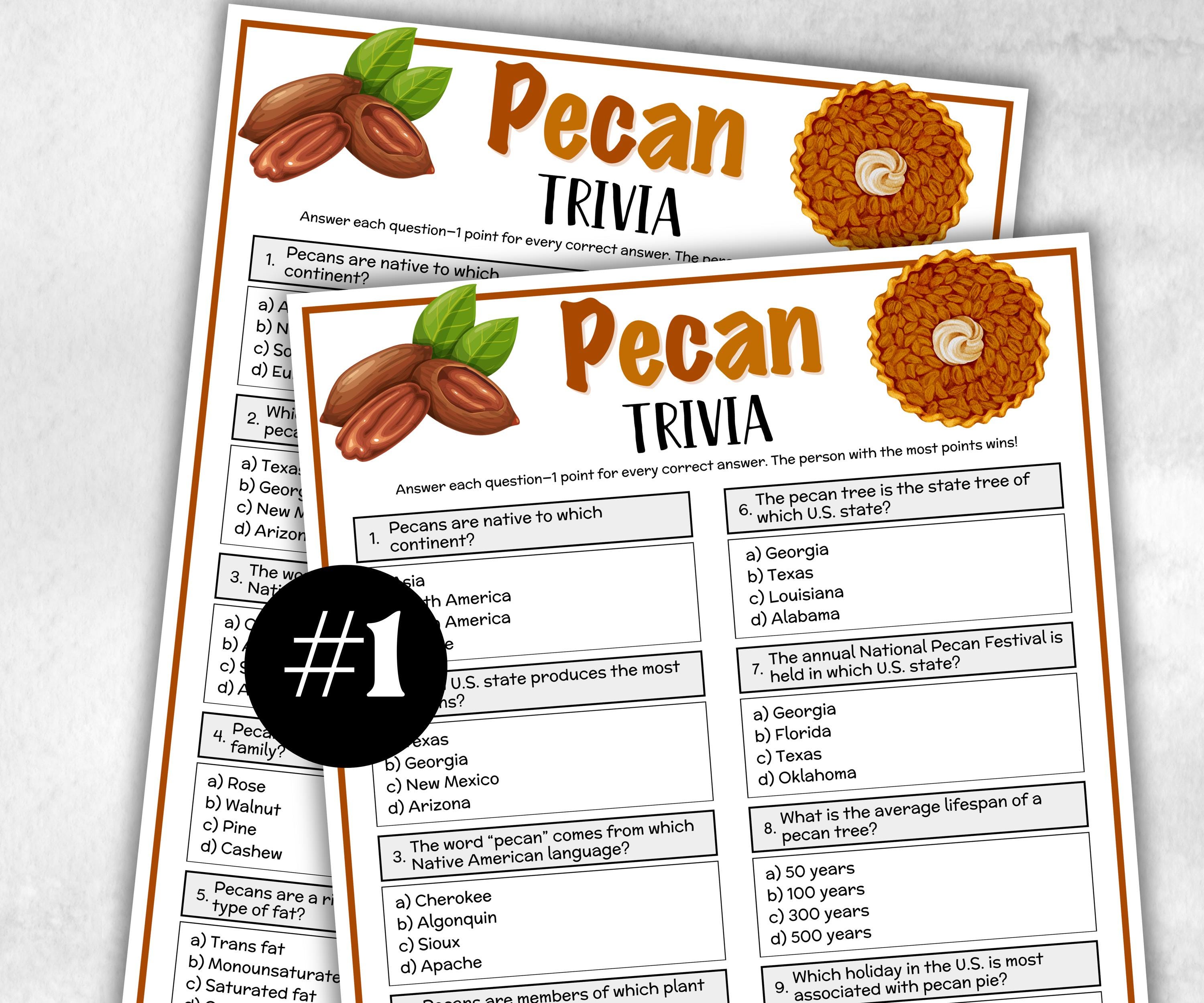 Pecan Trivia, Winter Theme Birthday, Seniors Trivia Night, Sunday School, Women Ministry, xmas family reunion, fall autumn game, Nut day-Holidays -TheHustlingCatLady-Party Games