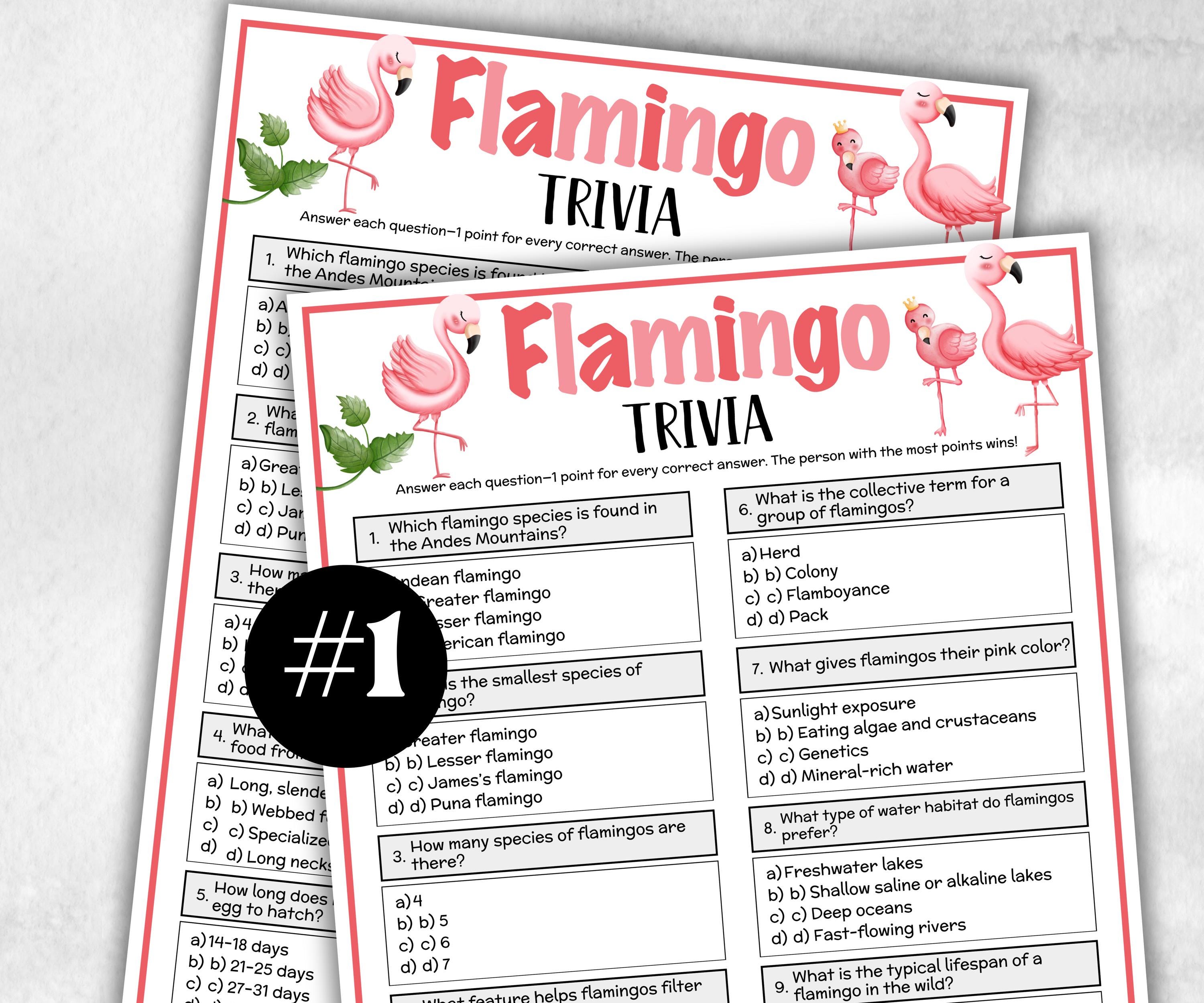 Flamingo Trivia, Pink Theme Birthday, Seniors Trivia Night, Sunday School, Pool Party, xmas family reunion, fall autumn game, Hawaii Church-Holidays -TheHustlingCatLady-Party Games