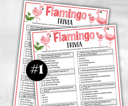 Flamingo Trivia, Pink Theme Birthday, Seniors Trivia Night, Sunday School, Pool Party, xmas family reunion, fall autumn game, Hawaii Church-Holidays -TheHustlingCatLady-Party Games