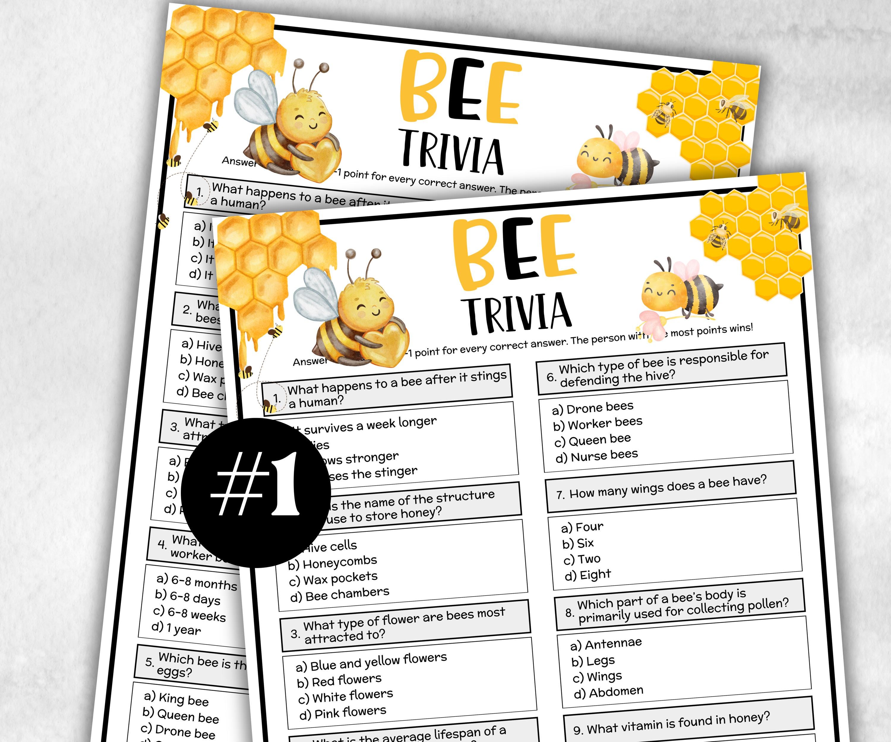 Bee Trivia, Bee Theme Birthday, Seniors Trivia Night, Sunday School, Women Ministry, family reunion game, first birthday, bridal shower game-Holidays -TheHustlingCatLady-Party Games