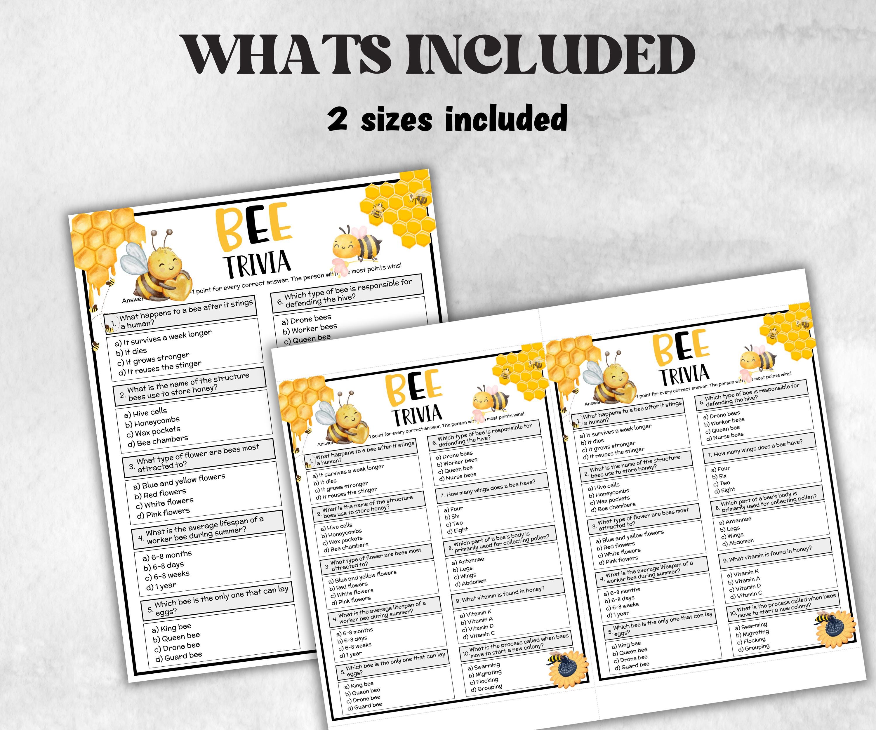 Bee Trivia, Bee Theme Birthday, Seniors Trivia Night, Sunday School, Women Ministry, family reunion game, first birthday, bridal shower game-Holidays -TheHustlingCatLady-Party Games