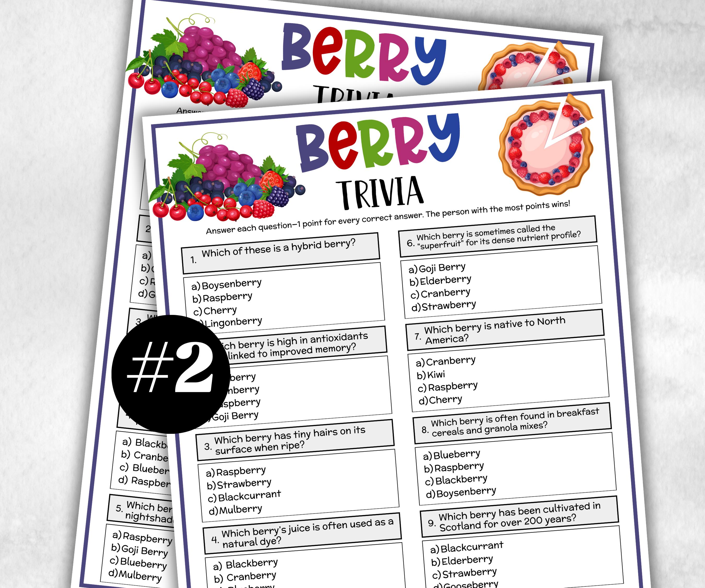 Berry Printable Trivia, Berry Sweet Baby, First Birthday Game, Girl Baby Shower, bridal shower, seniors trivia quiz, school classroom, kids-Holidays -TheHustlingCatLady-Party Games