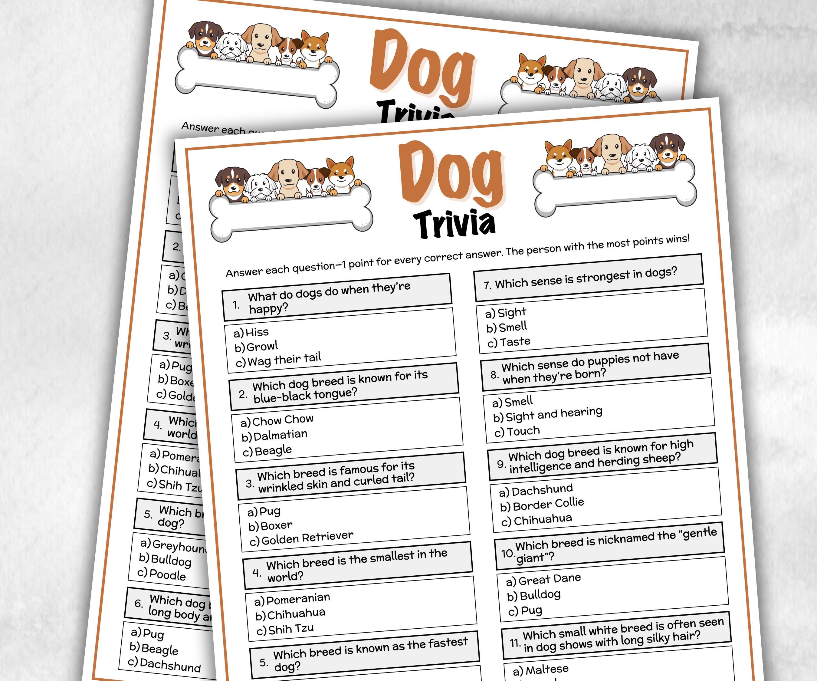 Dog Trivia Game, Family Game Night, Dog Birthday Game, Dog Party Activity, Dog Printable Game, Dog Breed Quiz, Pet Adoption Game, Pet Trivia-Holidays -TheHustlingCatLady-Party Games