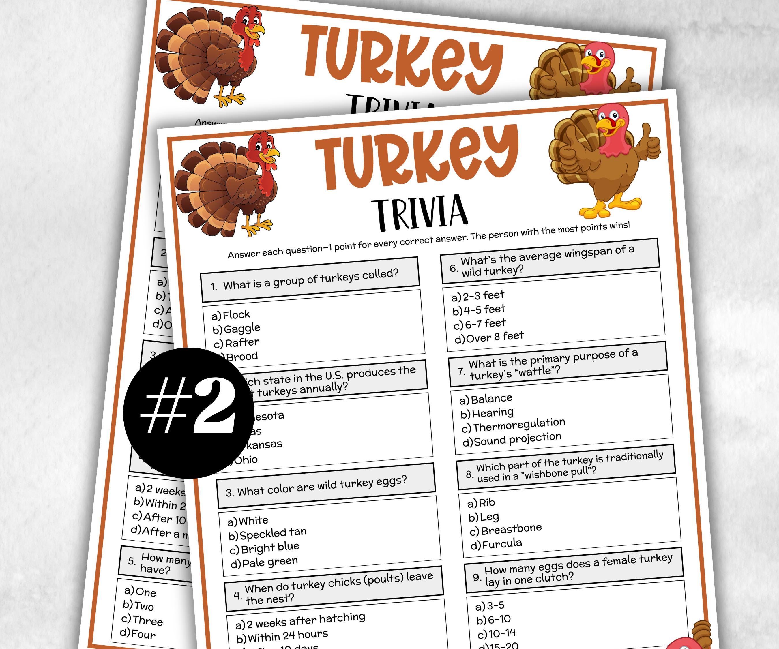 Turkey Trivia Game, Thanksgiving Friendsgiving Game, Thanksgiving Quiz, Thanksgiving Party, Fall Trivia Game, Gobble Gobble Turkey Game-Holidays -TheHustlingCatLady-Party Games