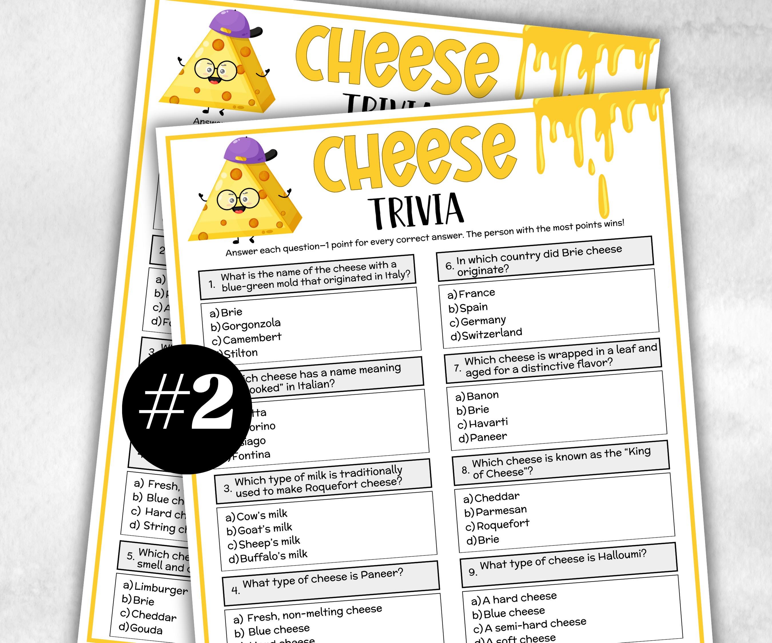 Wine Cheese Party, Wine Cheese Tasting, Wine Party Trivia, Senior Game Night, Office Party Idea, Bridal Shower, Printable Dinner Party Games-Holidays -TheHustlingCatLady-Party Games