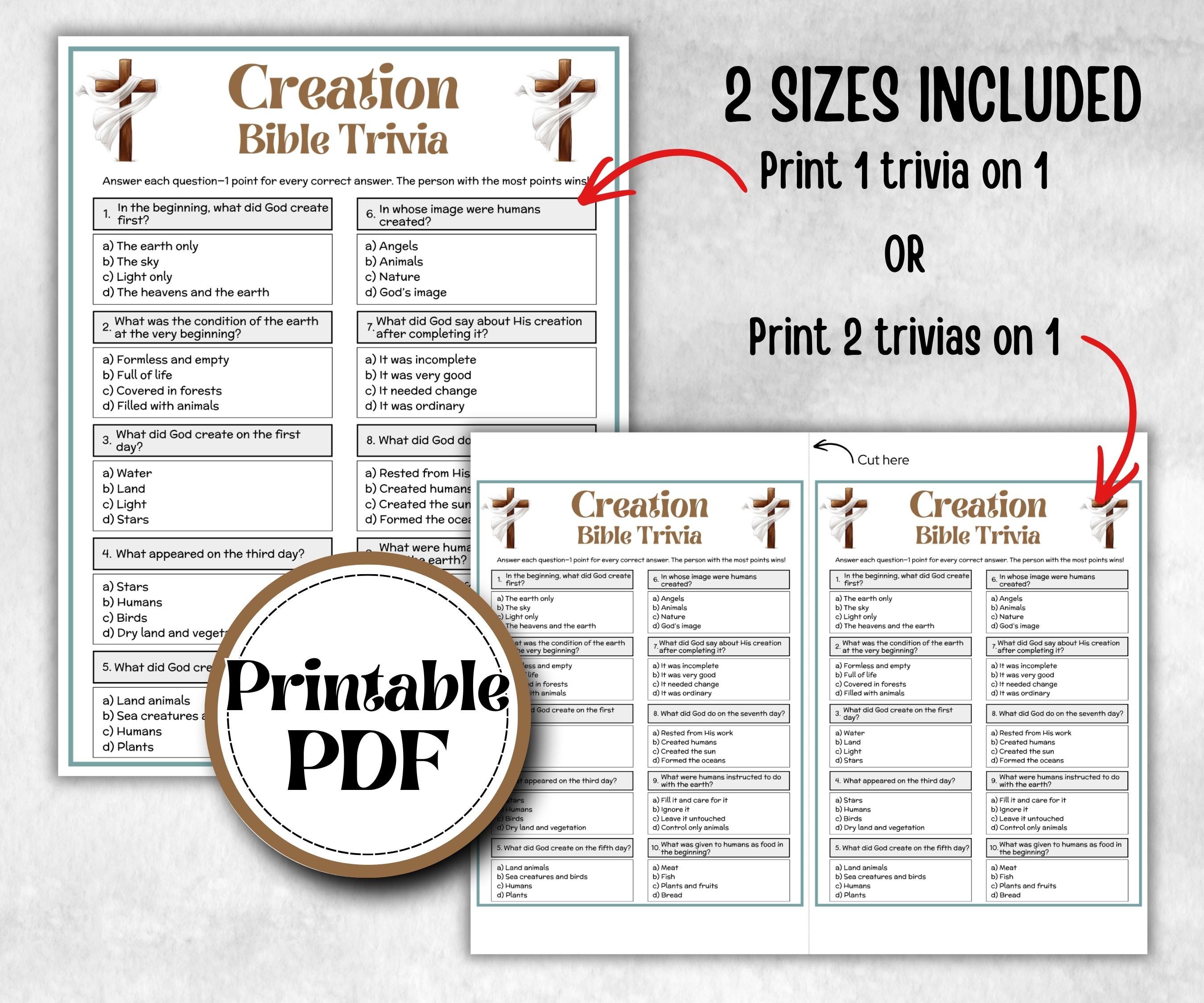 Creation Trivia, Bible Camp, Bible Study riddles, Holiday Party Game, womens retreat group party, Old Testament Trivia, Biblical Youth Group