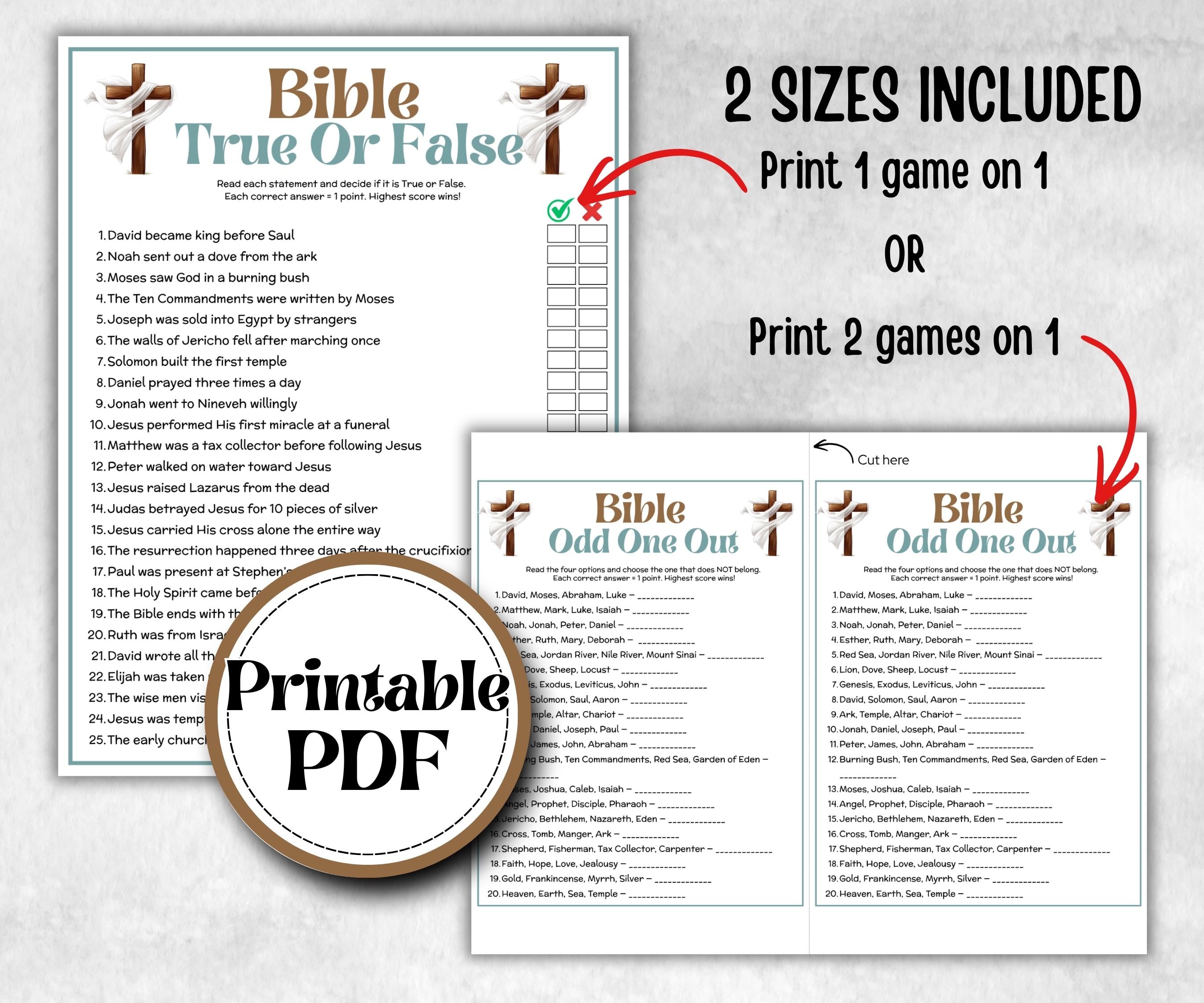 Bible True or False, Fact or Fiction, Holiday Bible Camp, womens retreat group, New Testament, Old Testament, Family Game Night, group party