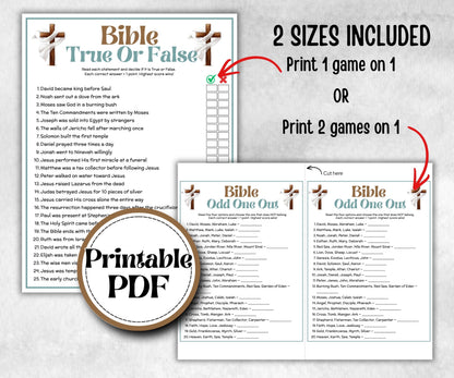 Bible True or False, Fact or Fiction, Holiday Bible Camp, womens retreat group, New Testament, Old Testament, Family Game Night, group party