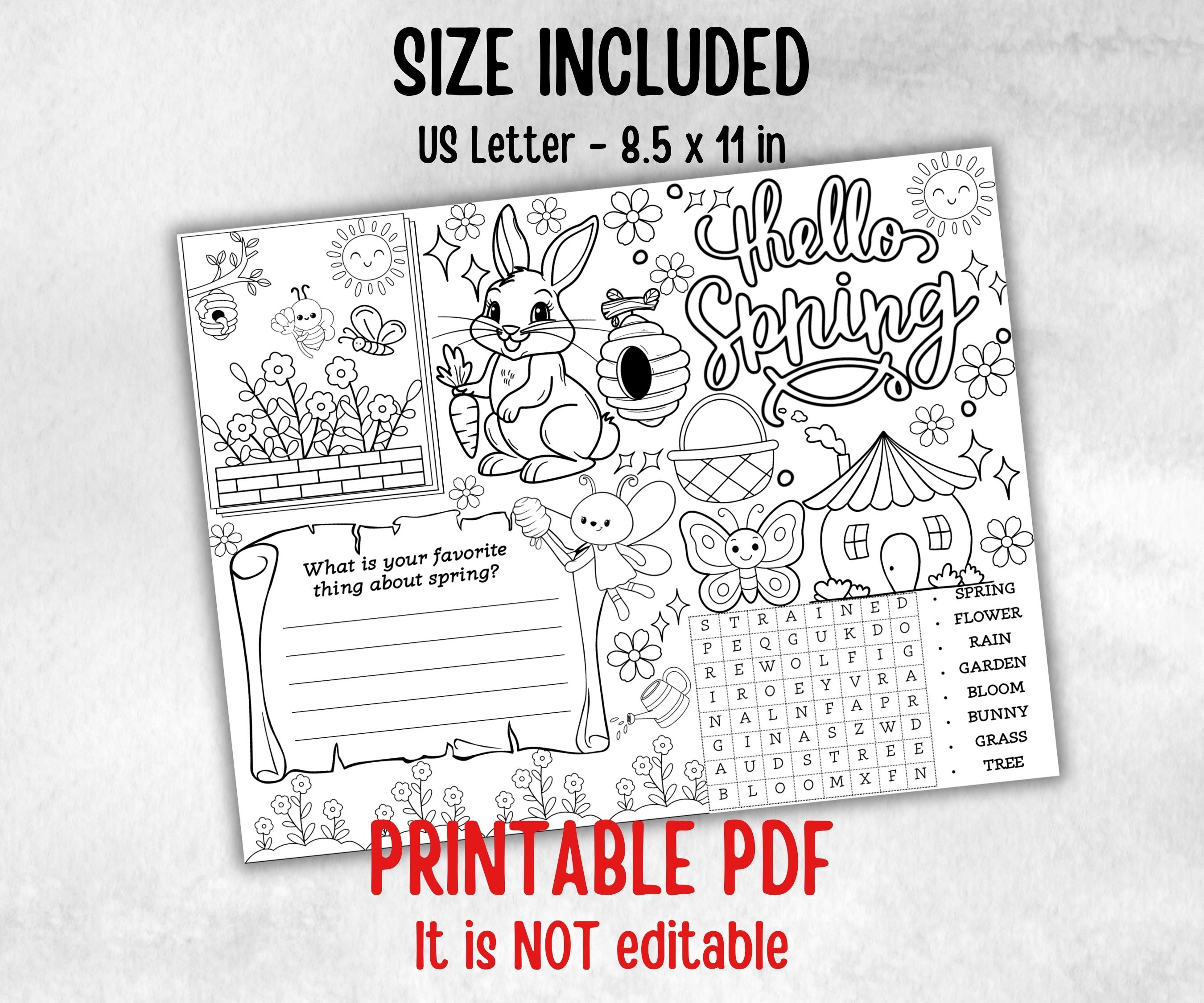 Spring coloring Placemats, Daycare Printable, kids activity sheets, spring sleepover party, spring Tea Party, Homeschool Easter Activity