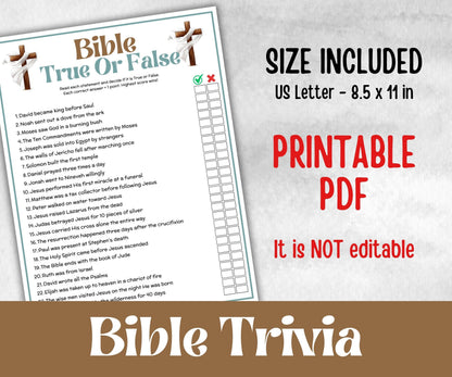 Bible True or False, Fact or Fiction, Holiday Bible Camp, womens retreat group, New Testament, Old Testament, Family Game Night, group party
