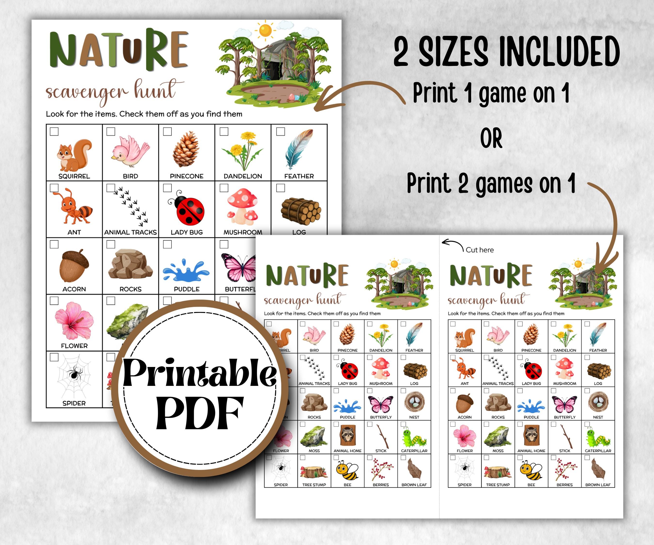 Nature Photo Scavenger Hunt, fire pit activity, Printable group party, campground, hiking trail, overnight camper baby, camping roadtrip fun