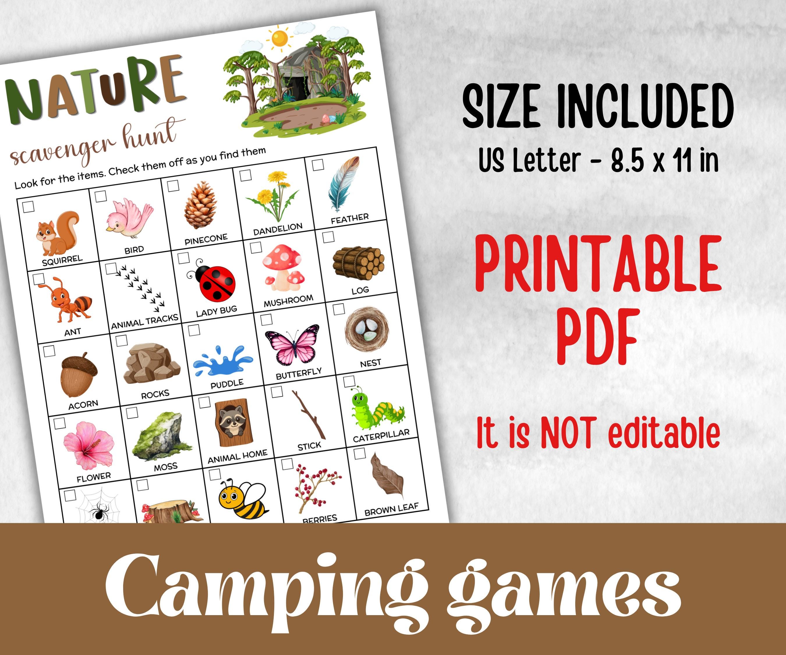 Nature Photo Scavenger Hunt, fire pit activity, Printable group party, campground, hiking trail, overnight camper baby, camping roadtrip fun