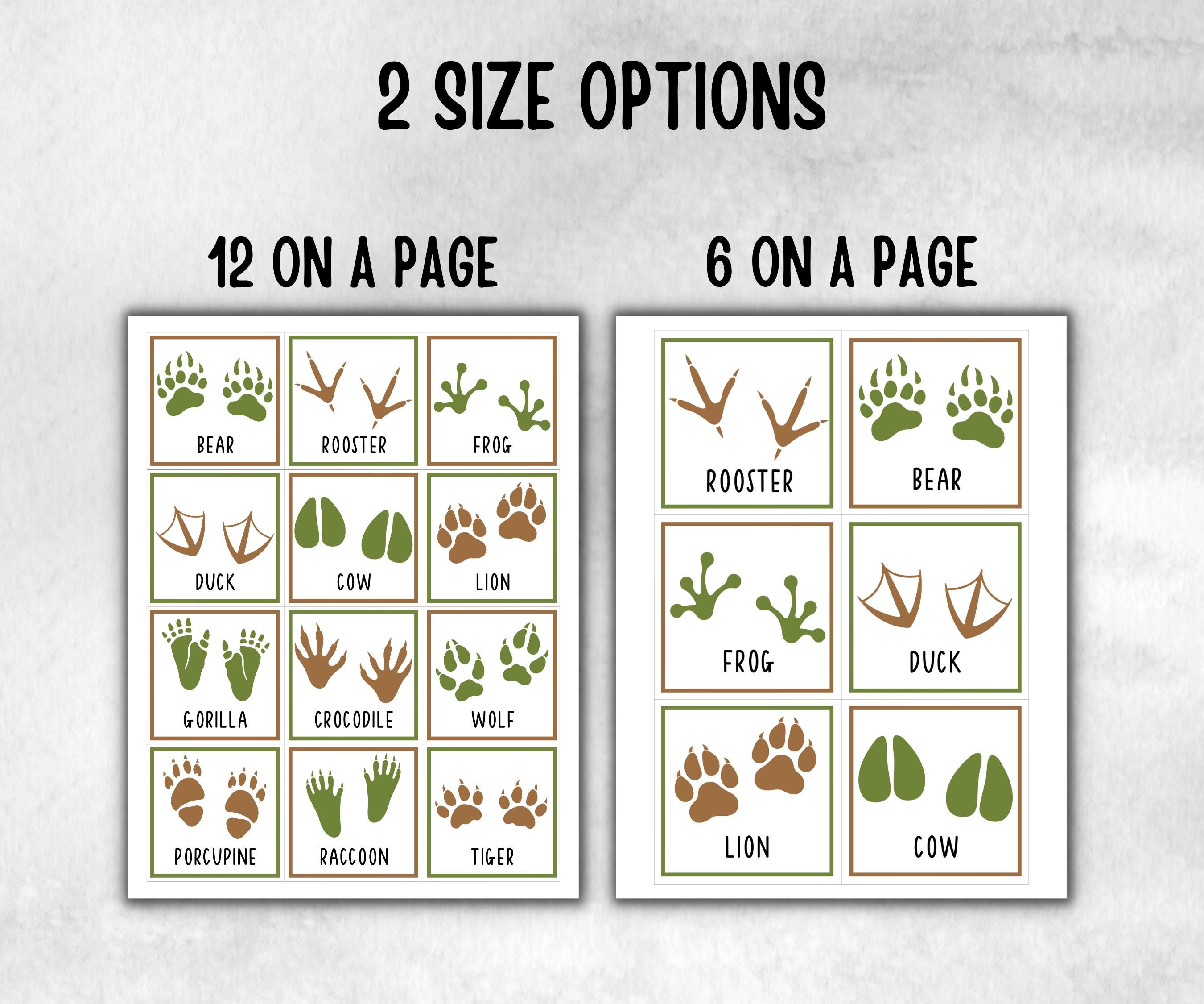 Wild Tracks Scavenger Hunt, fire pit activities, Printable outdoor treasure hunt, backyard bbq, summer campfire, Animal tracks, footprints