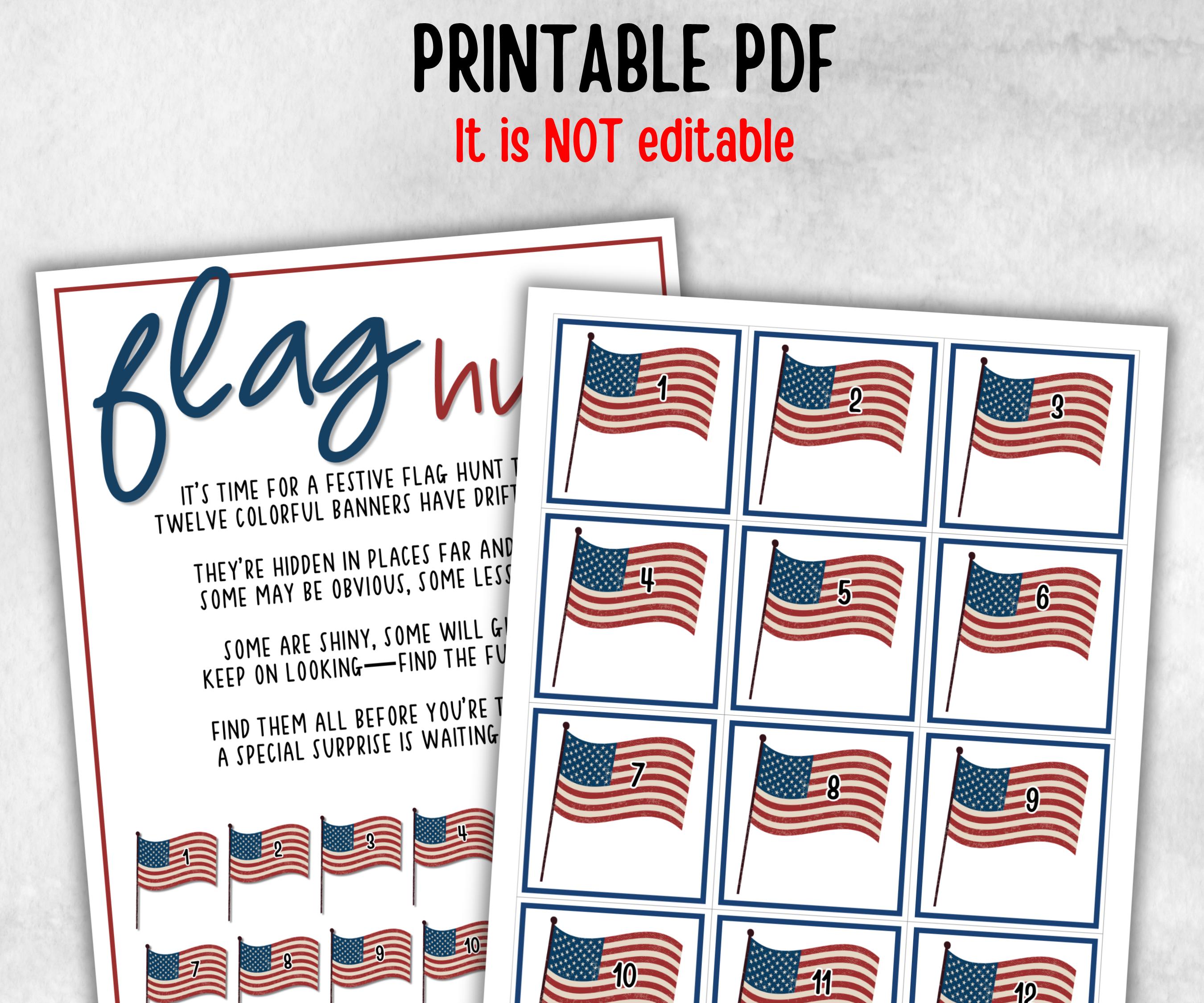 Patriotic Flag Hunt, Family Game Night, Summer Barbeque reunion, backyard hunt, 4th of july, Independence day, Flag day kids school activity