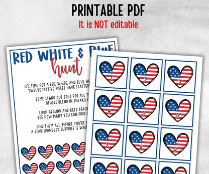 Red White and Blue Hunt for kids, Summer Barbeque reunion, backyard yard hunt, 4th of july, Independence day, school game, Stars Stripes